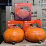 Nồi Hầm Bí 5L (Thùng 10)